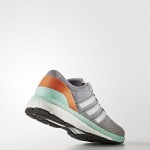 Adidas Adizero Boston 6 Passion Running