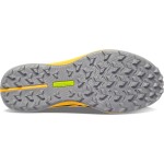 SAUCONY Peregrine 12 Passion Running