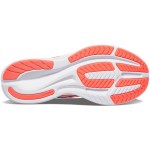 SAUCONY Ride 15 Passion Running