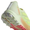 ADIDAS Terrex Agravic Flow 2 W Passion Running