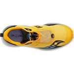 SAUCONY Peregrine 12 ST W Passion Running