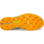 SAUCONY Peregrine 12 ST W Passion Running