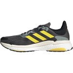 ADIDAS Solar Boost 4M Passion Running