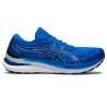 ASICS Gel-Kayano™ 29 Passion Running