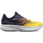 Saucony Ride 15 Vizipro Passion Running