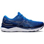 ASCIS Gel-Cumulus 24 Passion Running