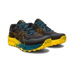 Asics Gel-trabuco 11 Passion Running