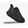 Hoka Clifton 9 Passion Running