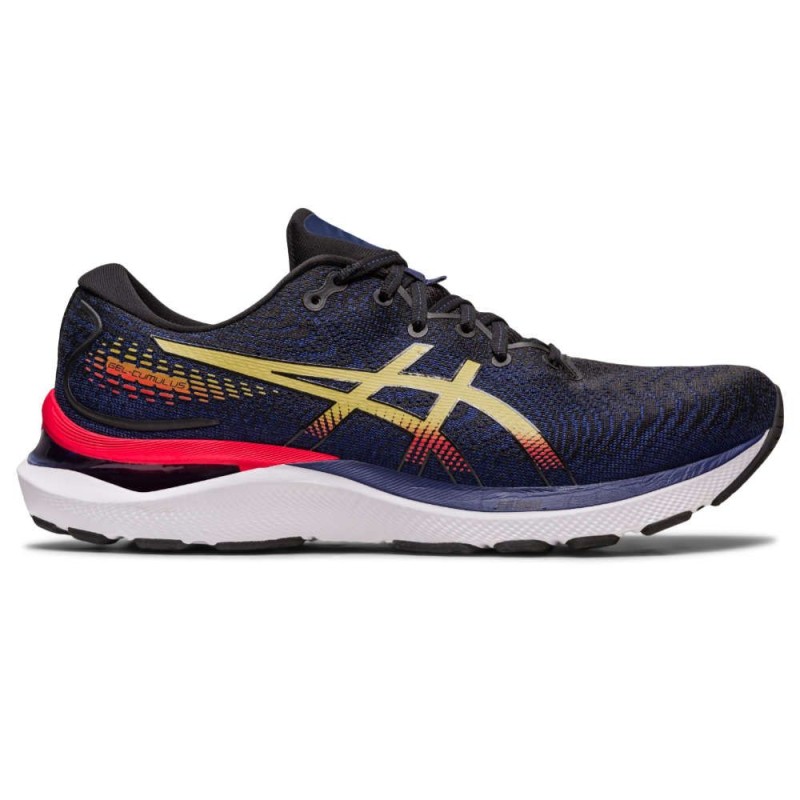 Asics Gel-cumulus 24 Passion Running