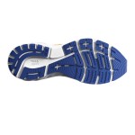 Brooks Adrenaline Gts 22 Passion Running