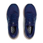 Asics Gel-kayano 29 W Passion Running