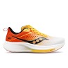 Saucony Ride 17 Passion Running