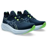 Asics Gel Nimbus 26 Passion Running