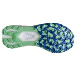 Brooks Catamount 3 Passion Running