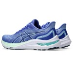 Asics Gel Pursue 9 Passion Running