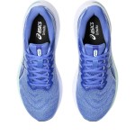 Asics Gel Pursue 9 Passion Running