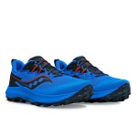 Saucony Peregrine 14 Passion Running