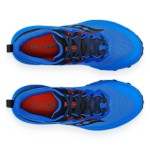 Saucony Peregrine 14 Passion Running
