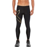 2xu Mcs All Sport Comp Tight Passion Running