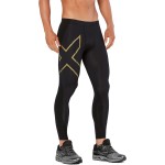 2xu Mcs All Sport Comp Tight Passion Running