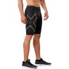 2xu Mcs Rn Compression Short Passion Running