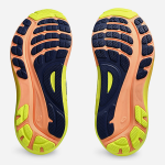 Asics Gel-kayano 31 Paris