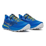Saucony Peregrine 15