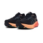 Asics Gel-kayano 31