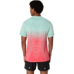 Asics Seamless Ss Top
