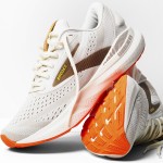Brooks Adrenaline Gts 24