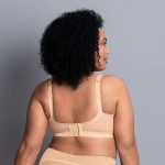 ANITA Active Momentum Desert