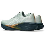 Asics Novablast 5 Tr