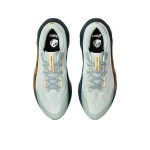 Asics Novablast 5 Tr