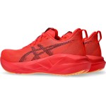 Asics Novablast 5