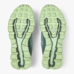 ON Cloudventure W Moss/Olive Passion Running