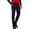 ADIDAS Pant AGR XC Pant Passion Running