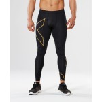 2XU MCS Run Compression Tights Passion Running