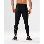 2XU MCS Run Compression Tights Passion Running