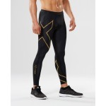 2XU MCS Run Compression Tights Passion Running