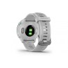 GARMIN Forerunner® 55 Passion Running